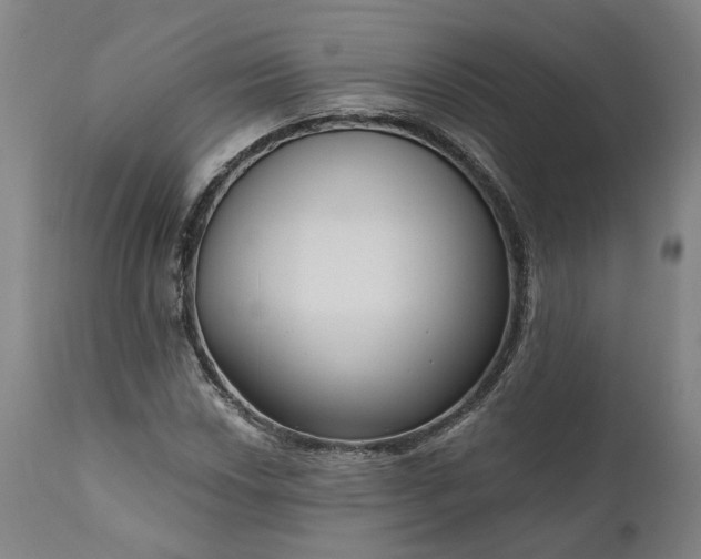 X0000111201018200907151408