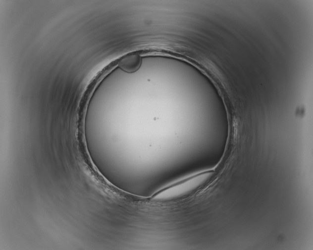 X0000111201020200907151409