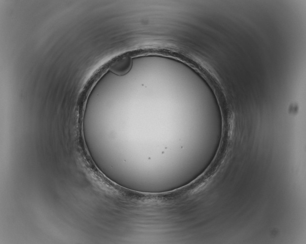 X0000111201021200907151409