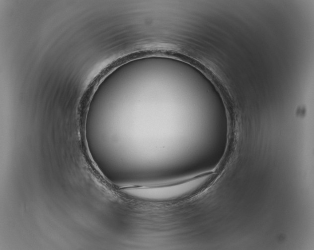 X0000111201022200907151409