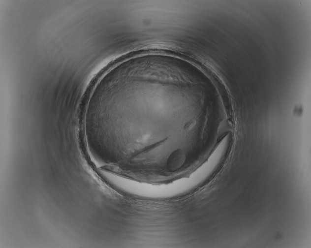 X0000111201024200907151409