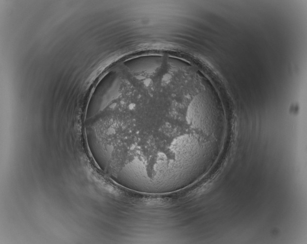 X0000111201025200907151409