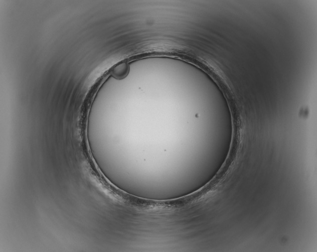 X0000111201026200907151409