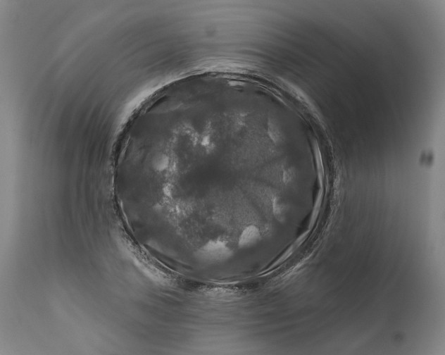 X0000111201027200907151409