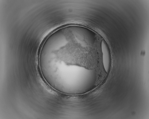 X0000111201028200907151409