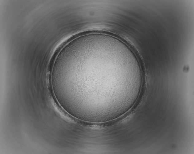 X0000111201029200907151409