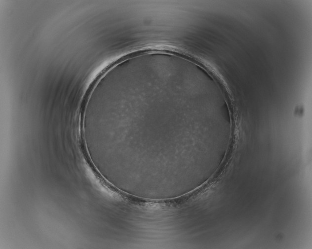 X0000111201032200907151409