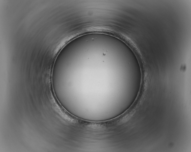 X0000111201033200907151409