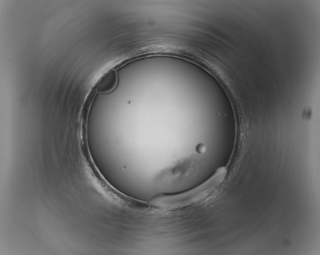 X0000111201034200907151409