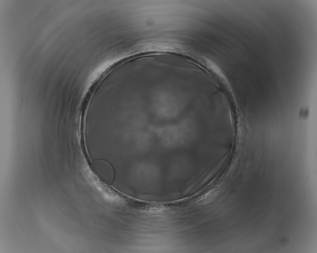 X0000111201035200907151409