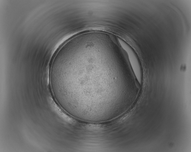 X0000111201036200907151409