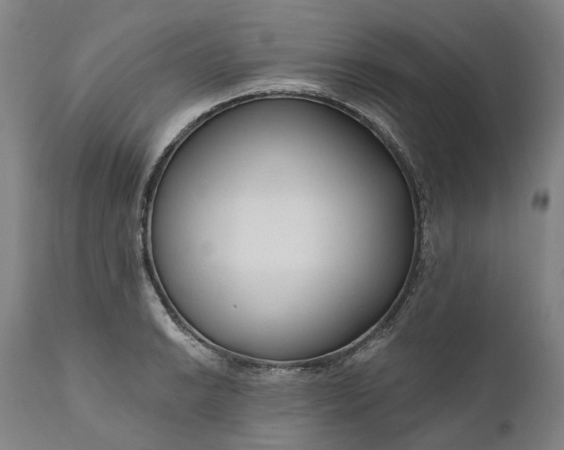 X0000111201038200907151409