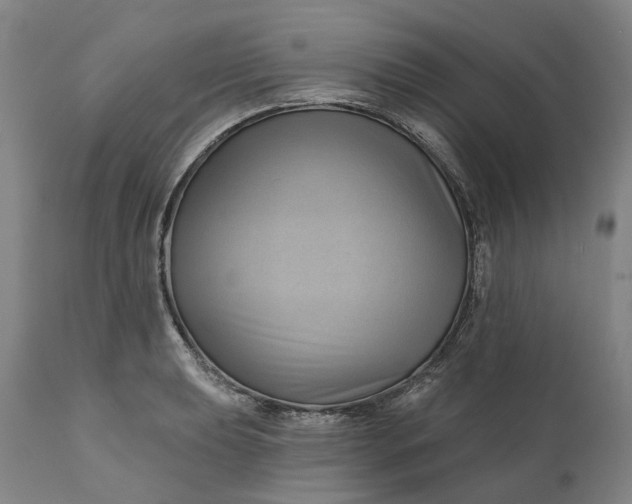 X0000111201039200907151409