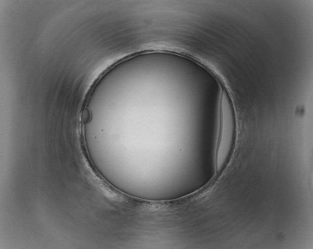 X0000111201040200907151409