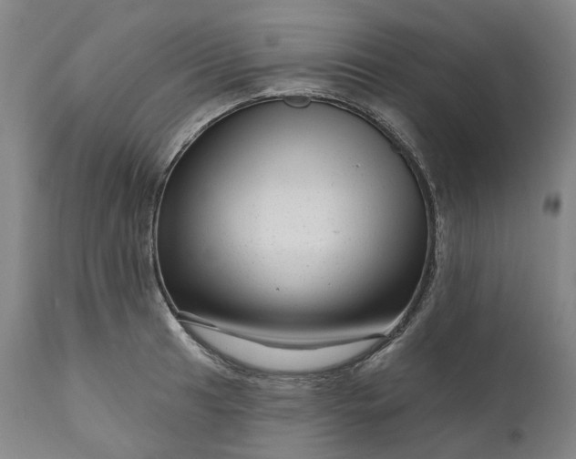 X0000111201041200907151409