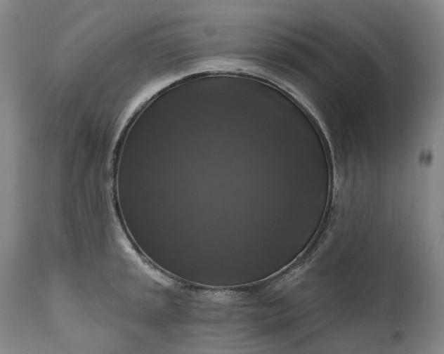 X0000111201045200907151409