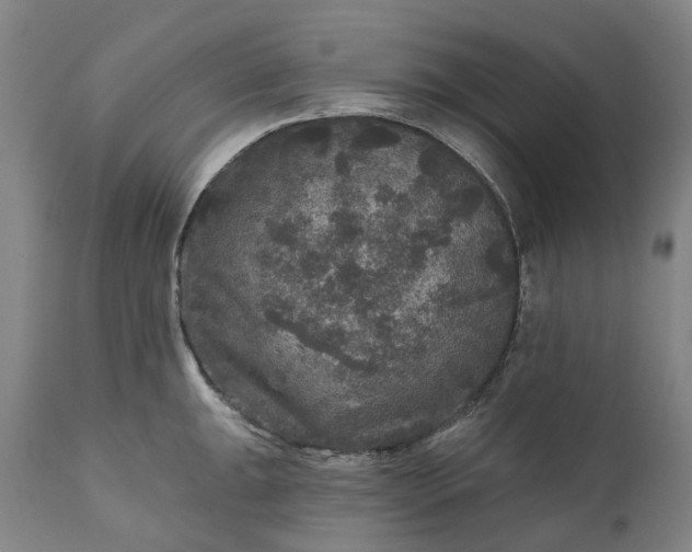 X0000111201047200907151409