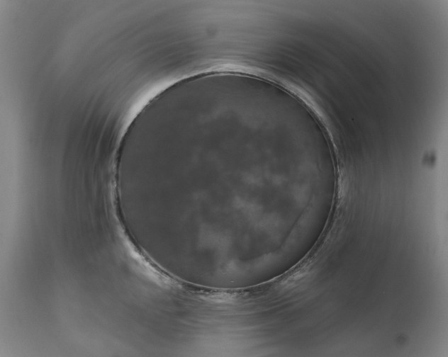 X0000111201048200907151409