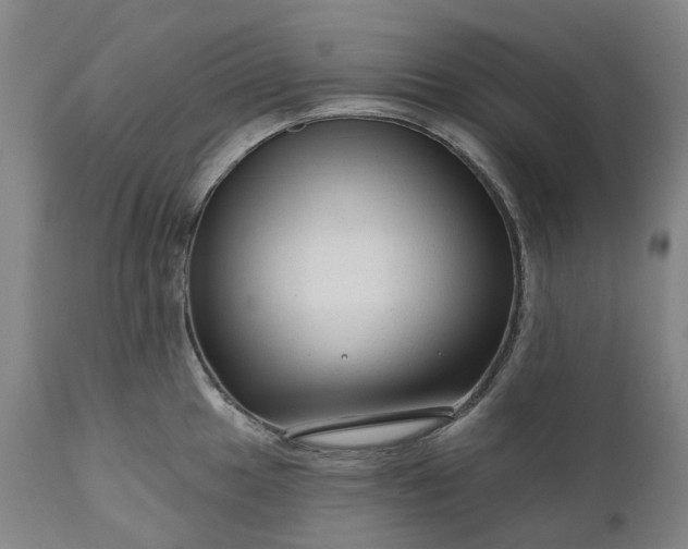 X0000111201049200907151409