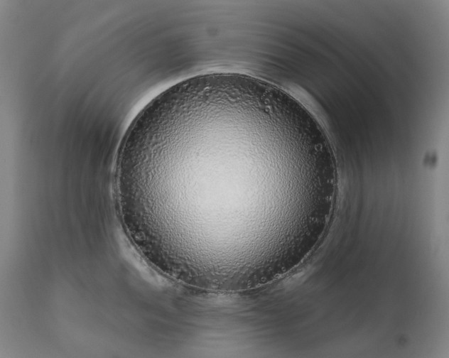 X0000111201052200907151409