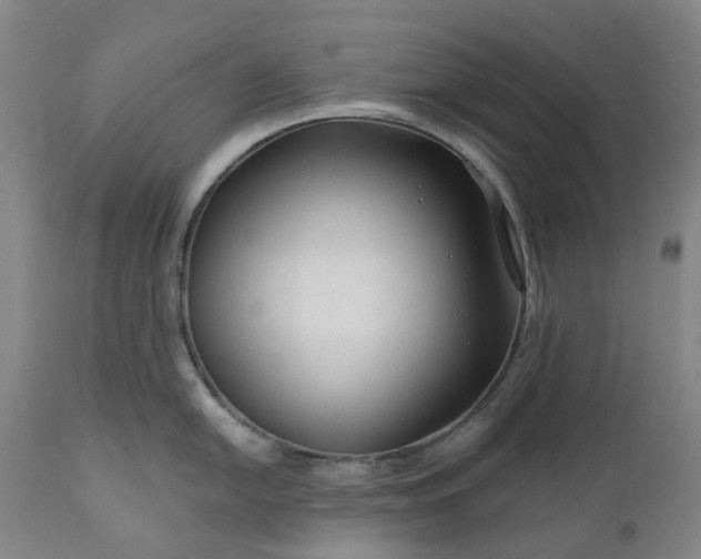 X0000111201054200907151409