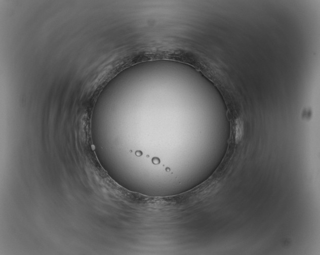 X0000111201059200907151408