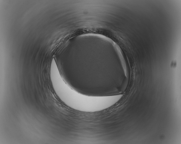 X0000111201060200907151408