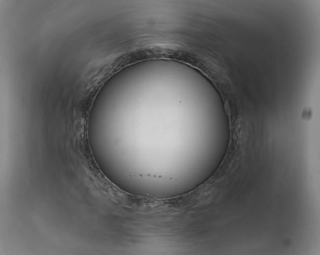 X0000111201061200907151408