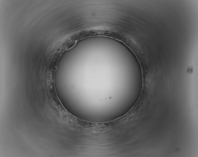 X0000111201062200907151408