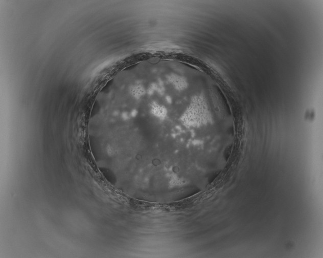 X0000111201063200907151408