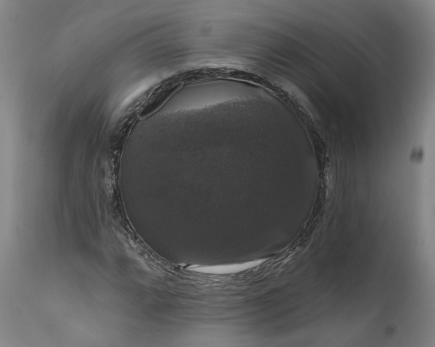 X0000111201064200907151408