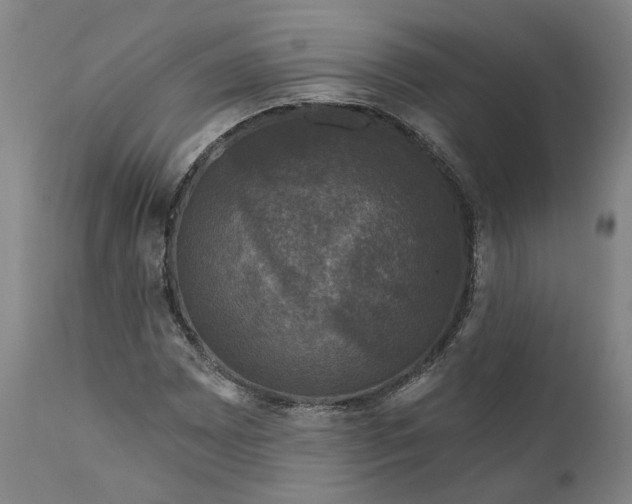 X0000111201065200907151408