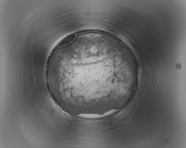 X0000111201068200907151408