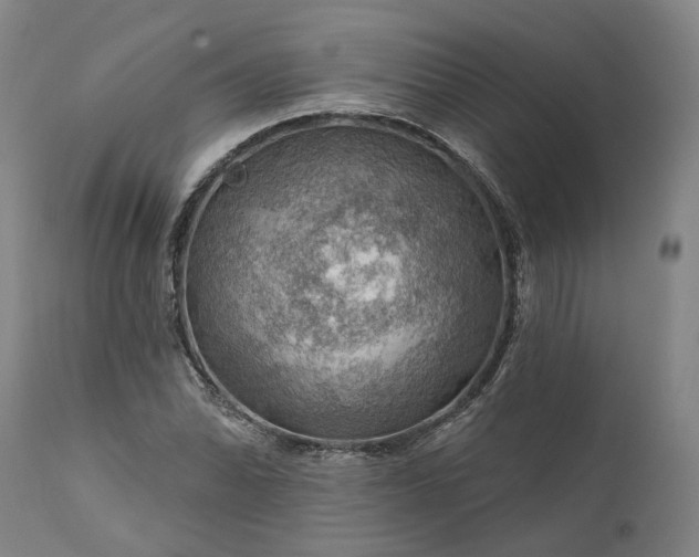 X0000111201070200907151408