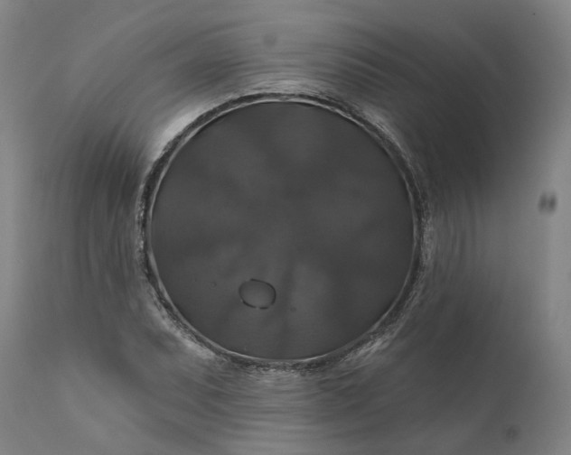 X0000111201071200907151408