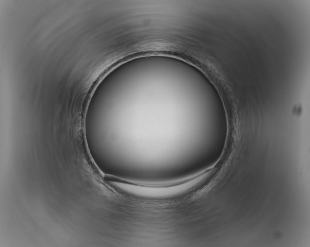 X0000111201073200907151408