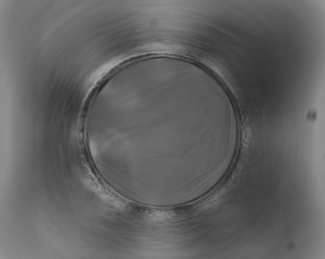 X0000111201074200907151408