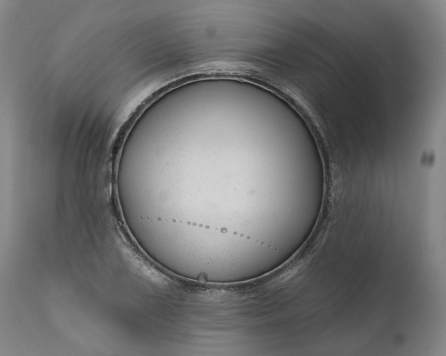 X0000111201075200907151408