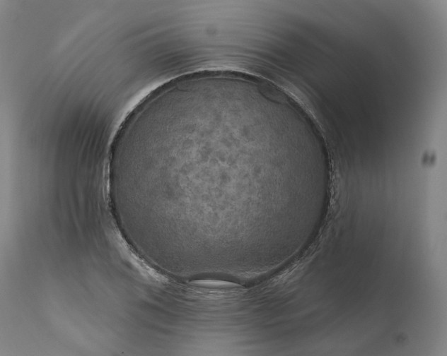 X0000111201076200907151408