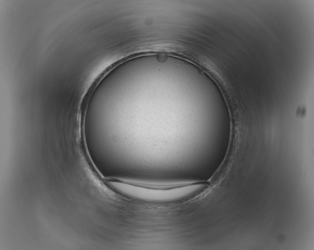 X0000111201079200907151408