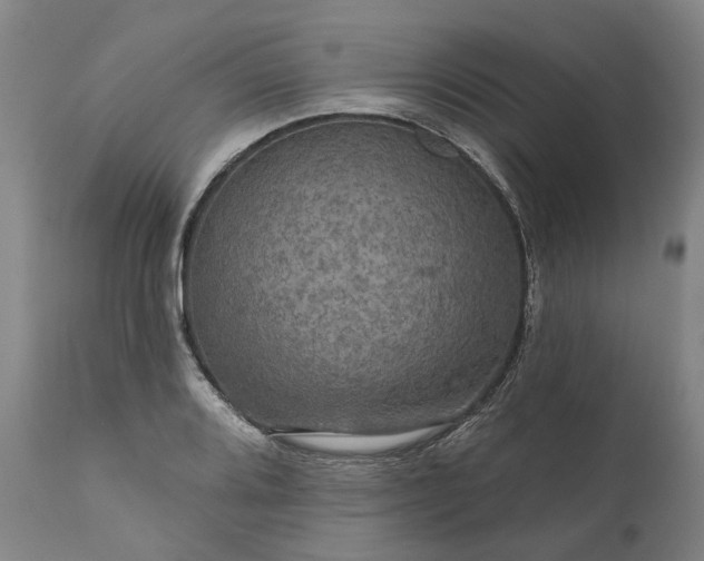 X0000111201080200907151408