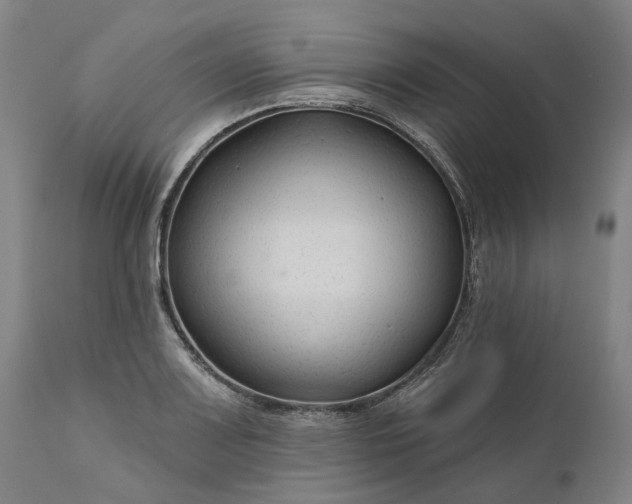 X0000111201083200907151408