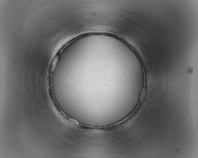 X0000111201085200907151408