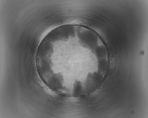 X0000111201086200907151408