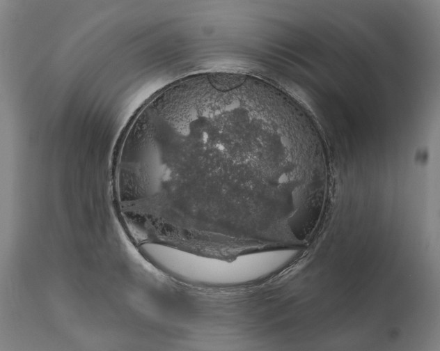 X0000111201087200907151408