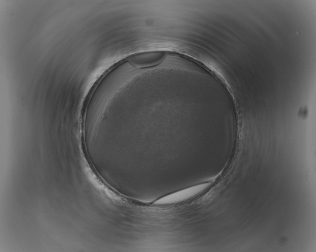 X0000111201088200907151408