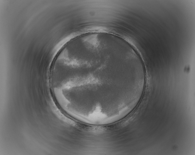 X0000111201090200907151408