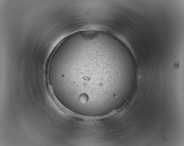 X0000111201091200907151408