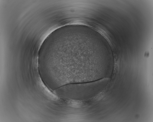 X0000111201092200907151408