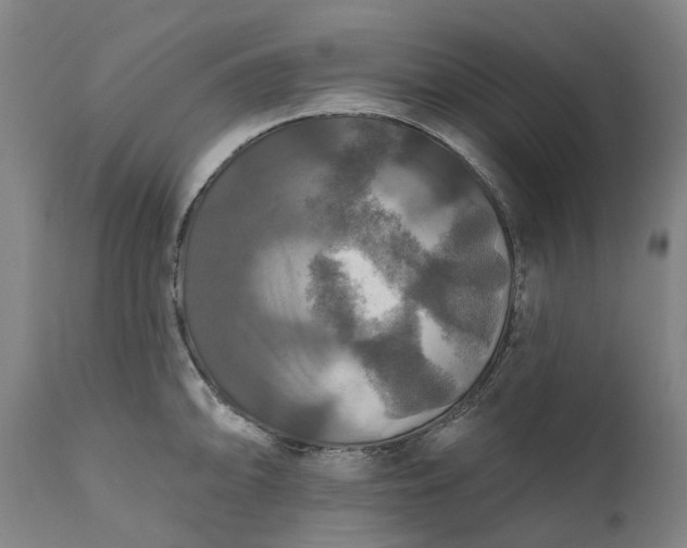 X0000111201094200907151408